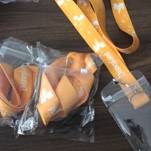 2 Disneyland resort lanyards